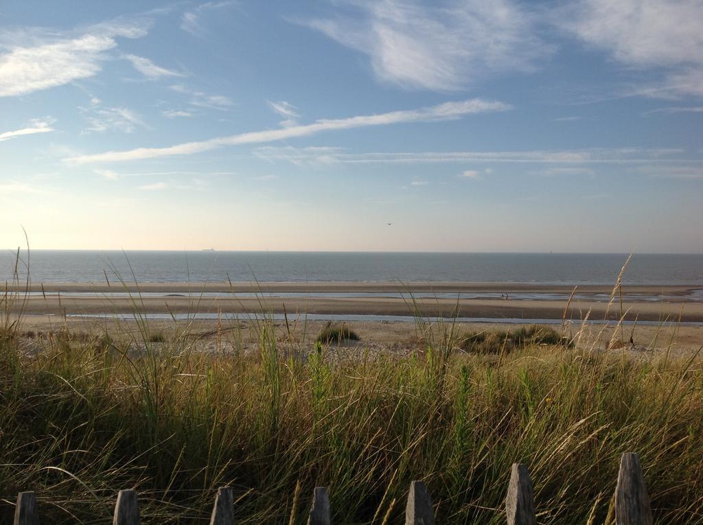 Kokkelikoo Blankenberge Exterior foto